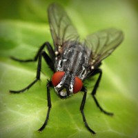 /album/pptgqi/photolia-a01-jpg/