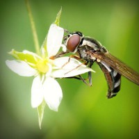 /album/pptgqi/photolia-a02-jpg/