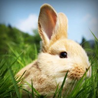 /album/pptgqi/photolia-a03-jpg/