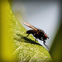 /album/pptgqi/photolia-a04-jpg/