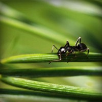 /album/pptgqi/photolia-a05-jpg/