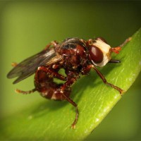 /album/pptgqi/photolia-a06-jpg/