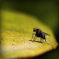 /album/pptgqi/photolia-a07-jpg/