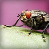 /album/pptgqi/photolia-a08-jpg/